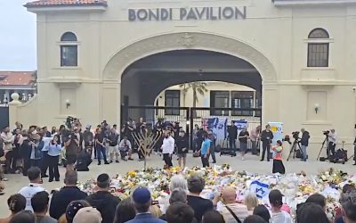 Screenshot 2025-12-15 at 7.15.38 PM